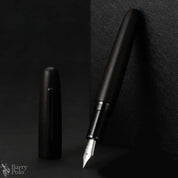 Elegant Natural Wood Fountain Pen with Gold Clip Barry Polo